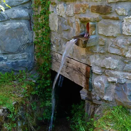 Сasa de vacaciones Pikes *